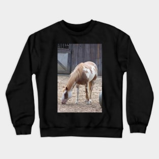 American Paint Horse Crewneck Sweatshirt